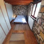 Erini House Chalet *
